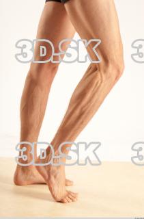 Leg reference of Levoslav 0011